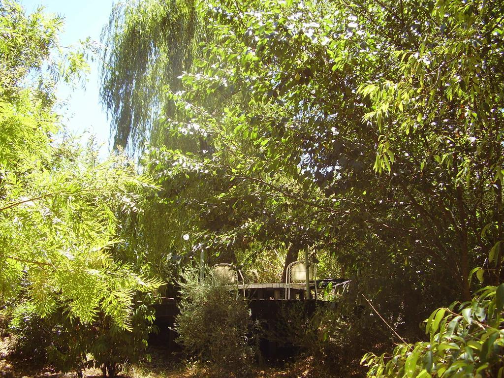 Black Cockatoo Lodge Nannup Exterior foto